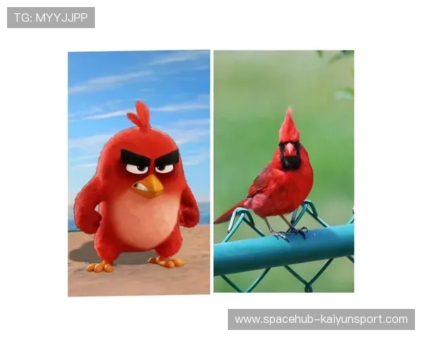 红雀进攻端疲软，主帅承认球队需重建，红雀到底说的是什么